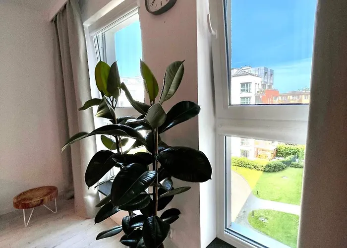 Enjoy & Silence アパート *